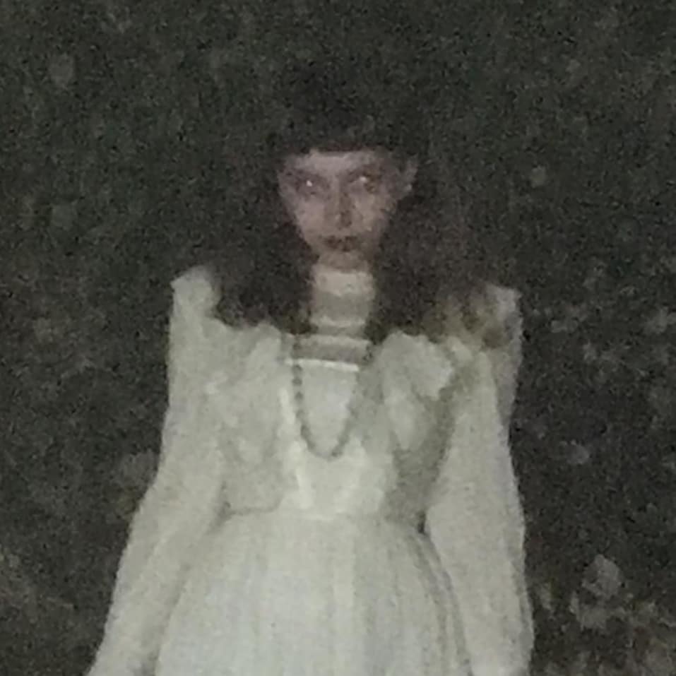 nettakatycat instagram image archive image