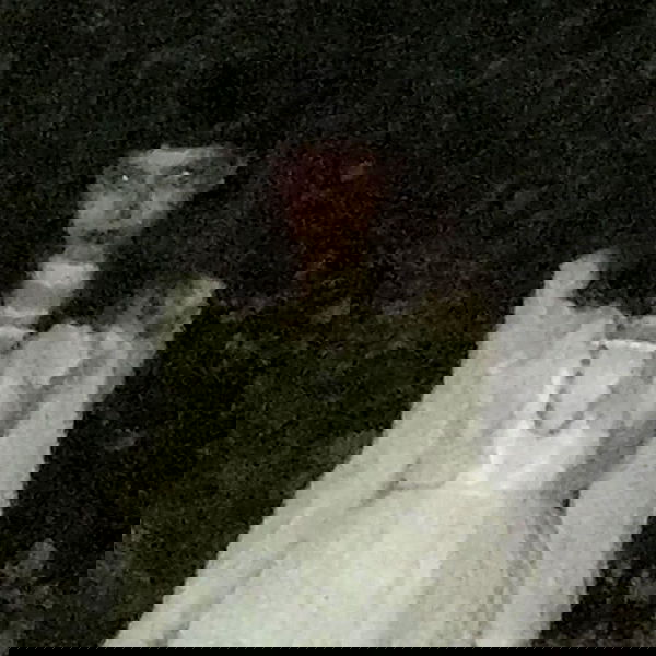 nettakatycat image ~ Altpins