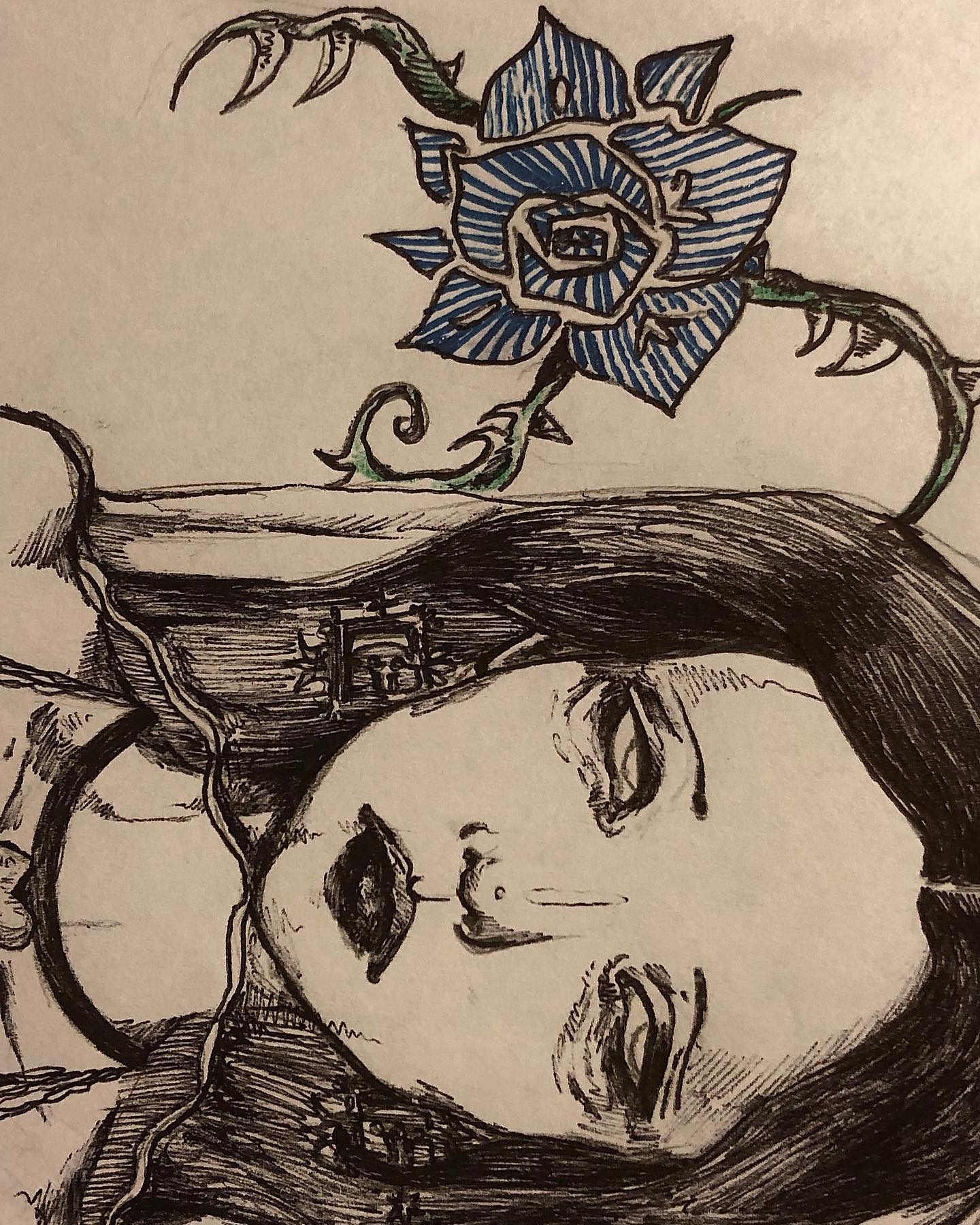 nettakatycat instagram image archive image