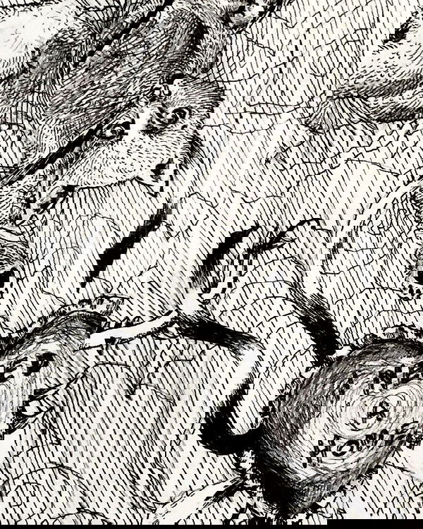 nettakatycat image ~ Altpins