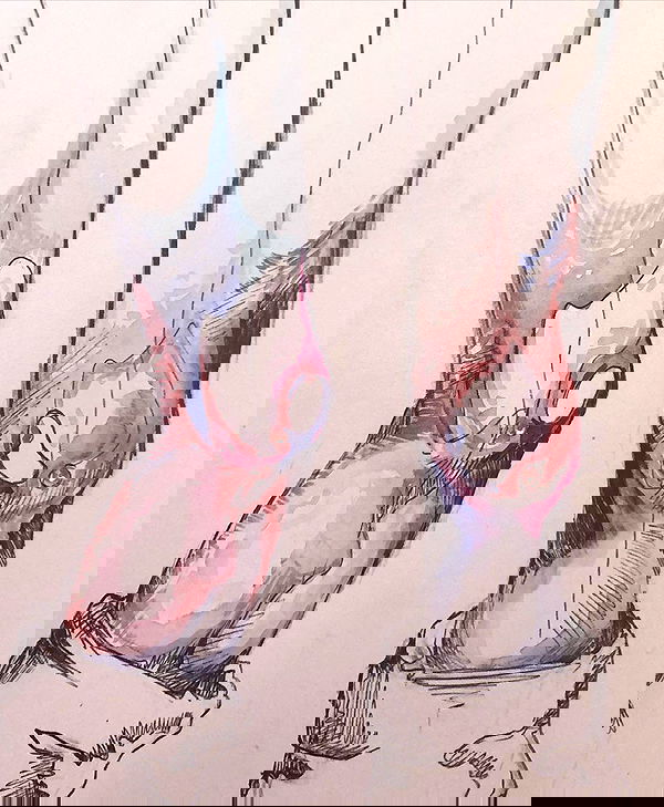 nettakatycat image ~ Altpins