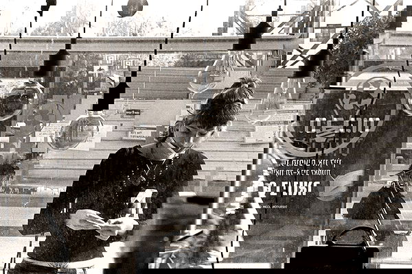 nettakatycat image ~ Altpins