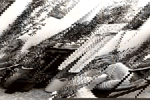 nettakatycat image ~ Altpins