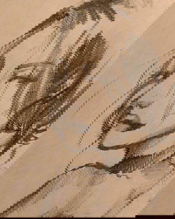 nettakatycat image ~ Altpins