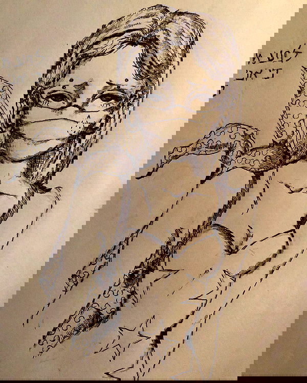 nettakatycat image ~ Altpins