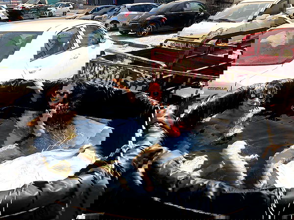 nettakatycat image ~ Altpins