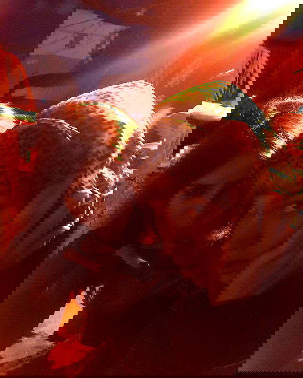 nettakatycat image ~ Altpins