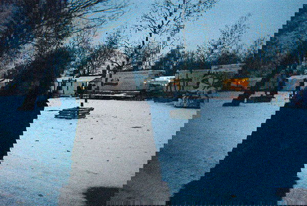 nettakatycat image ~ Altpins