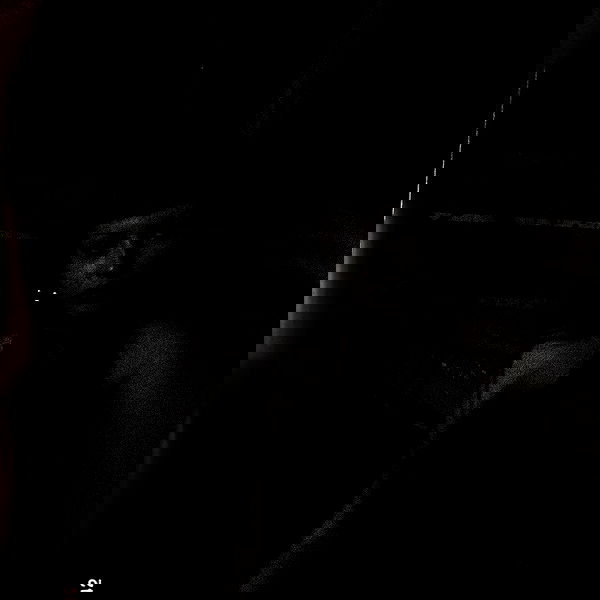 nettakatycat image ~ Altpins