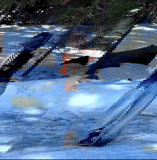 nevaaadaa nevaaadaa archive image