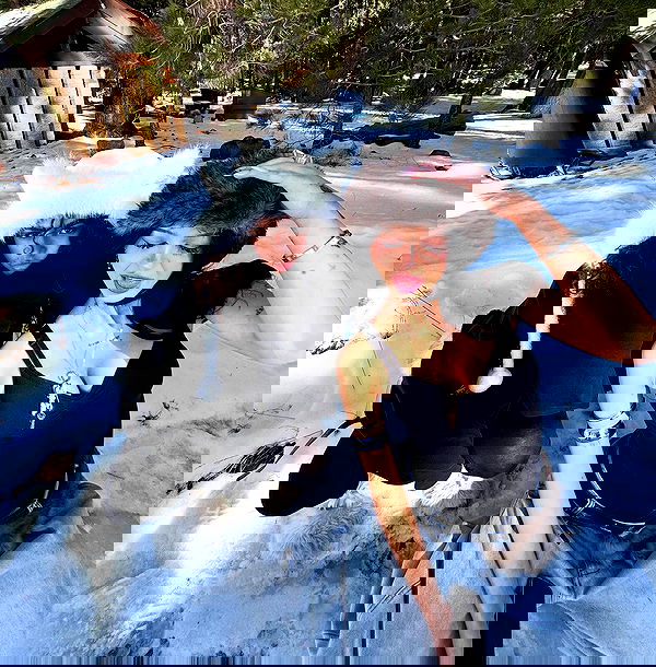 nevaaadaa nevaaadaa archive image