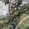 newpoort Altpins Profile Picture