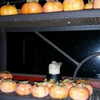 newpoort Altpins Profile Picture