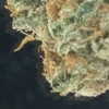 newpoort Altpins Profile Picture