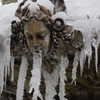 newpoort Altpins Profile Picture