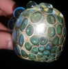 newpoort Altpins Profile Picture