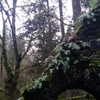 newpoort Altpins Profile Picture