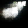 newpoort Altpins Profile Picture