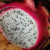 newpoort Altpins Profile Picture