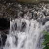 newpoort Altpins Profile Picture