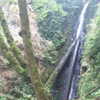 newpoort Altpins Profile Picture