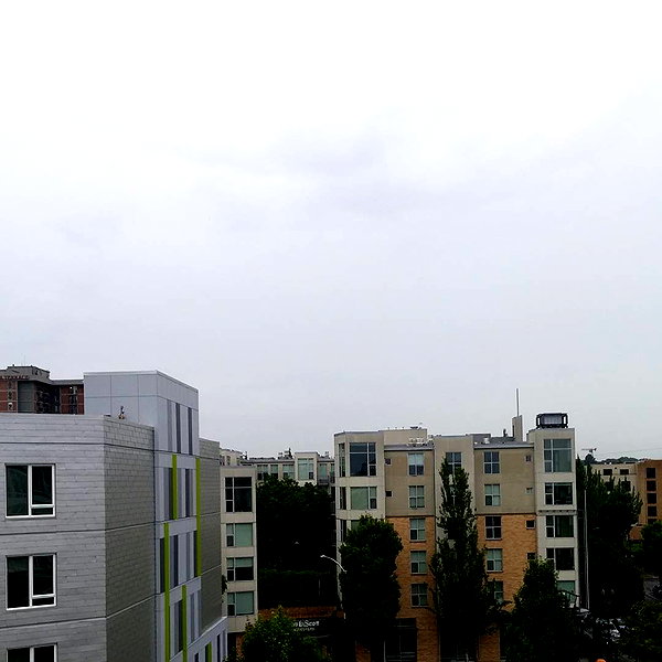 newpoort instagram image archive image