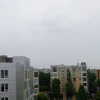 newpoort Altpins Profile Picture
