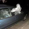 newpoort Altpins Profile Picture