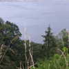 newpoort Altpins Profile Picture