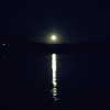 newpoort Altpins Profile Picture