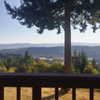 newpoort Altpins Profile Picture