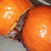 newpoort Altpins Profile Picture
