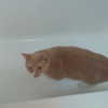 newpoort Altpins Profile Picture