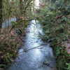 newpoort Altpins Profile Picture