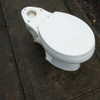 newpoort Altpins Profile Picture