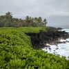 newpoort Altpins Profile Picture