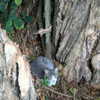 newpoort Altpins Profile Picture