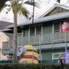 newpoort Altpins Profile Picture
