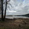 newpoort Altpins Profile Picture