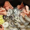 newpoort Altpins Profile Picture