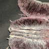 newpoort Altpins Profile Picture