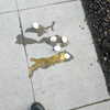 newpoort Altpins Profile Picture