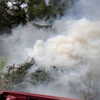 newpoort Altpins Profile Picture