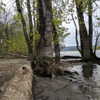 newpoort Altpins Profile Picture