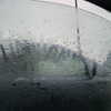 newpoort Altpins Profile Picture