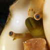 newpoort Altpins Profile Picture
