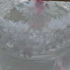 newpoort Altpins Profile Picture
