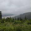 newpoort Altpins Profile Picture