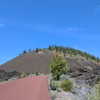newpoort Altpins Profile Picture
