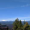 newpoort Altpins Profile Picture